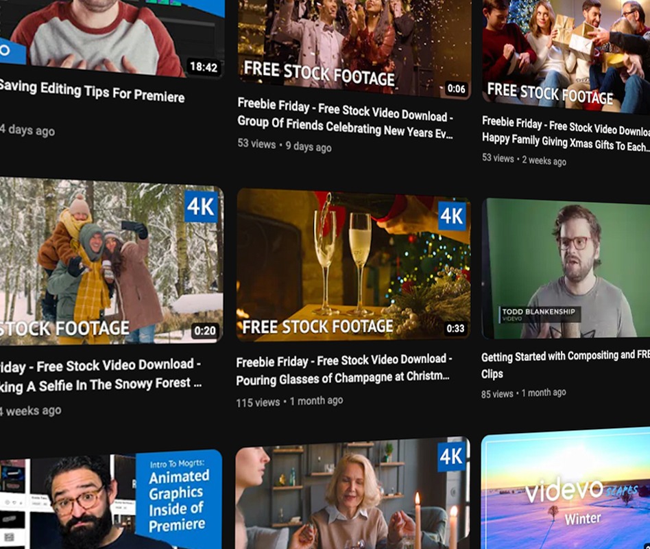 Videvo stock footage