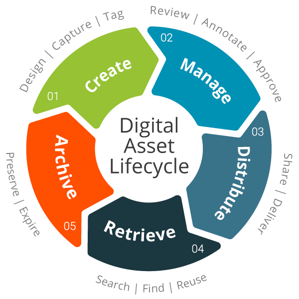a diagram that shows the lifecycle of a digital asset
