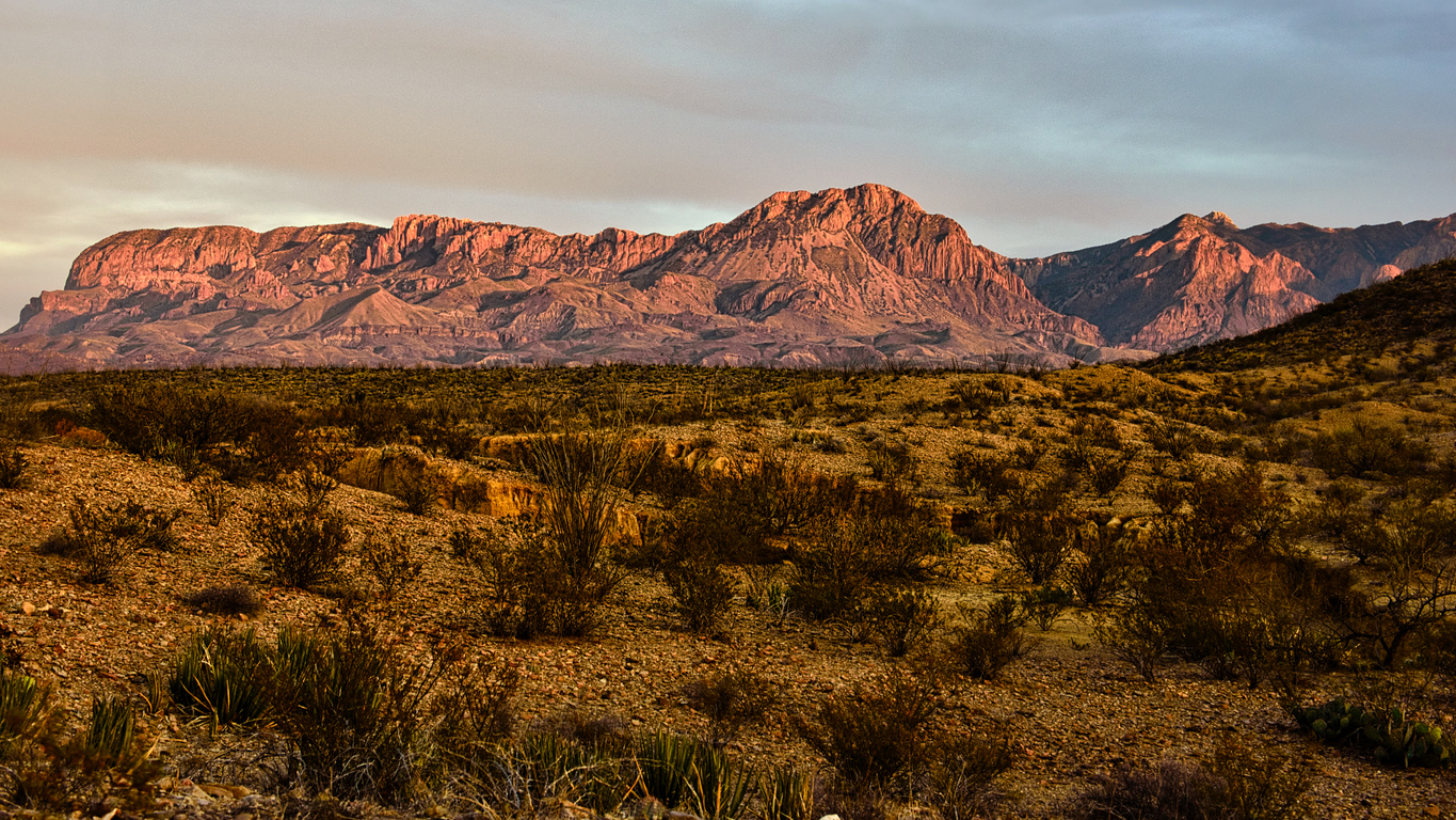 Chisos Mountains at golden hour, Big Bend National Park, Texas