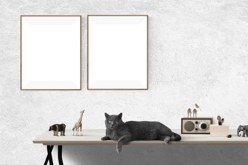 a table with a grey cat, a radio, animal decors, and plain white frames on the wall